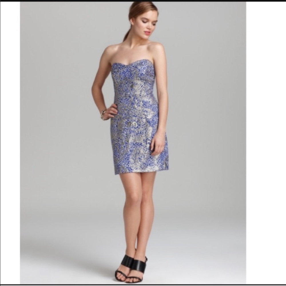 Milly Strapless Dress